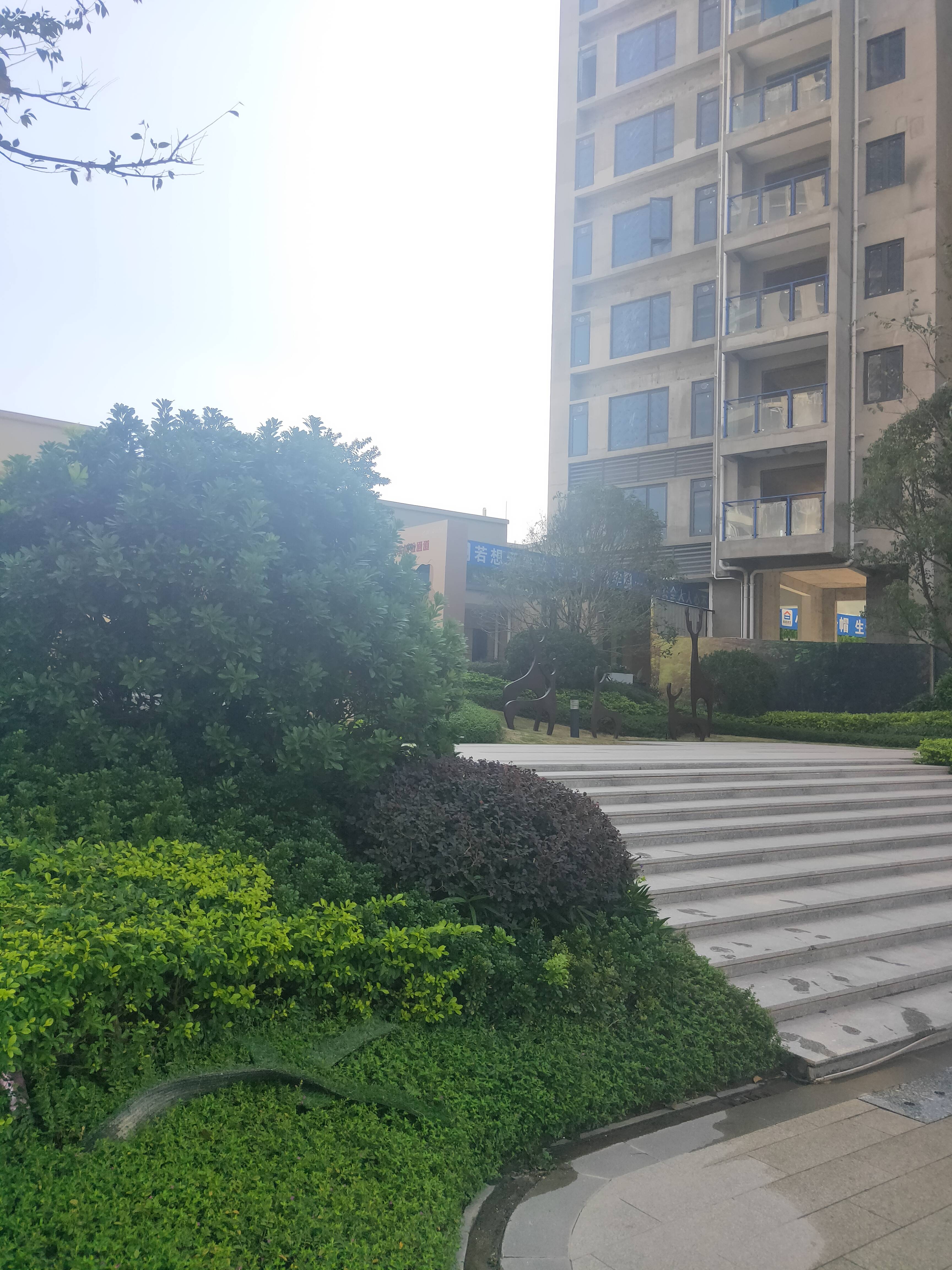 碧桂园中洲云麓花园