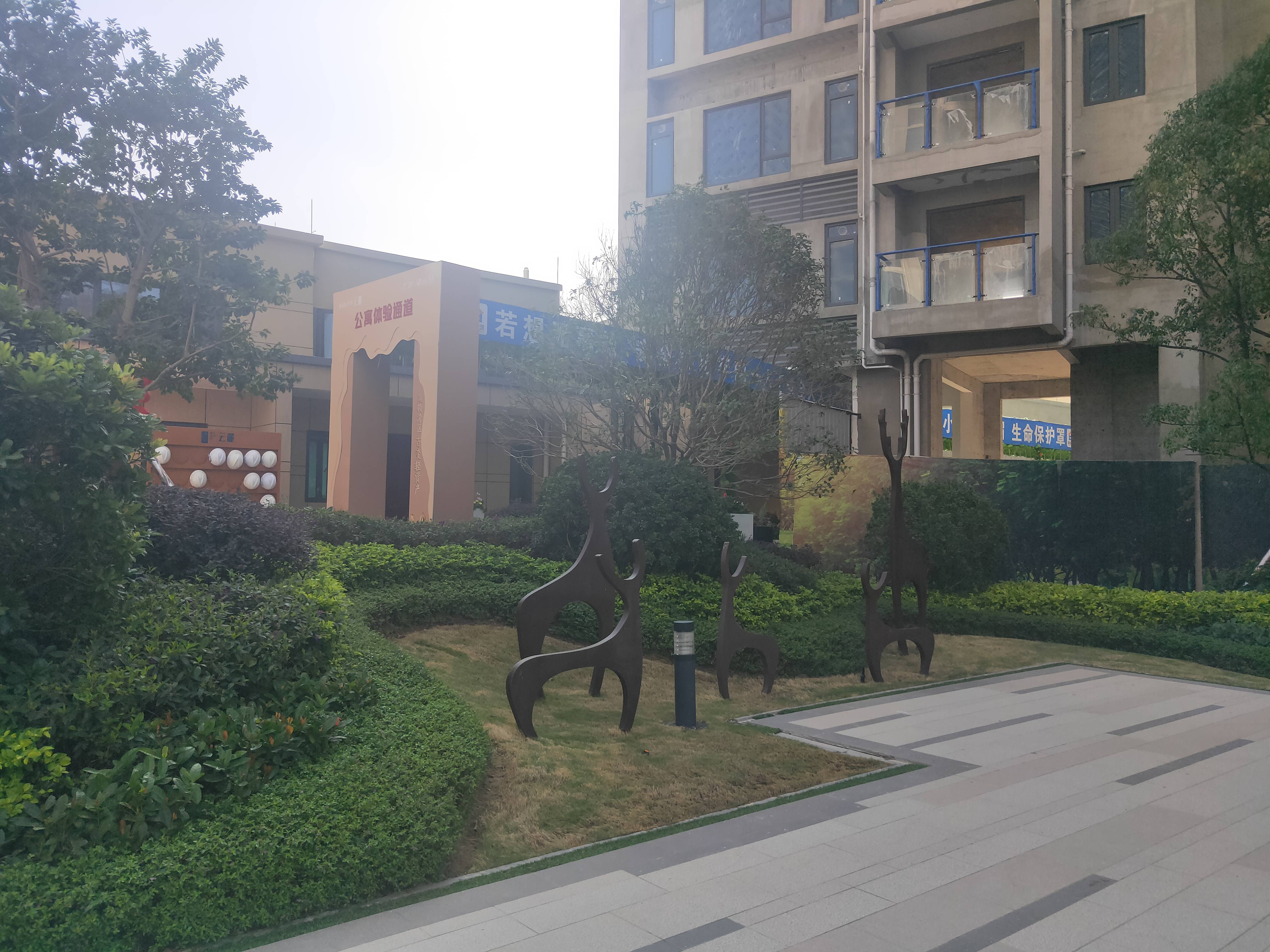 碧桂园中洲云麓花园