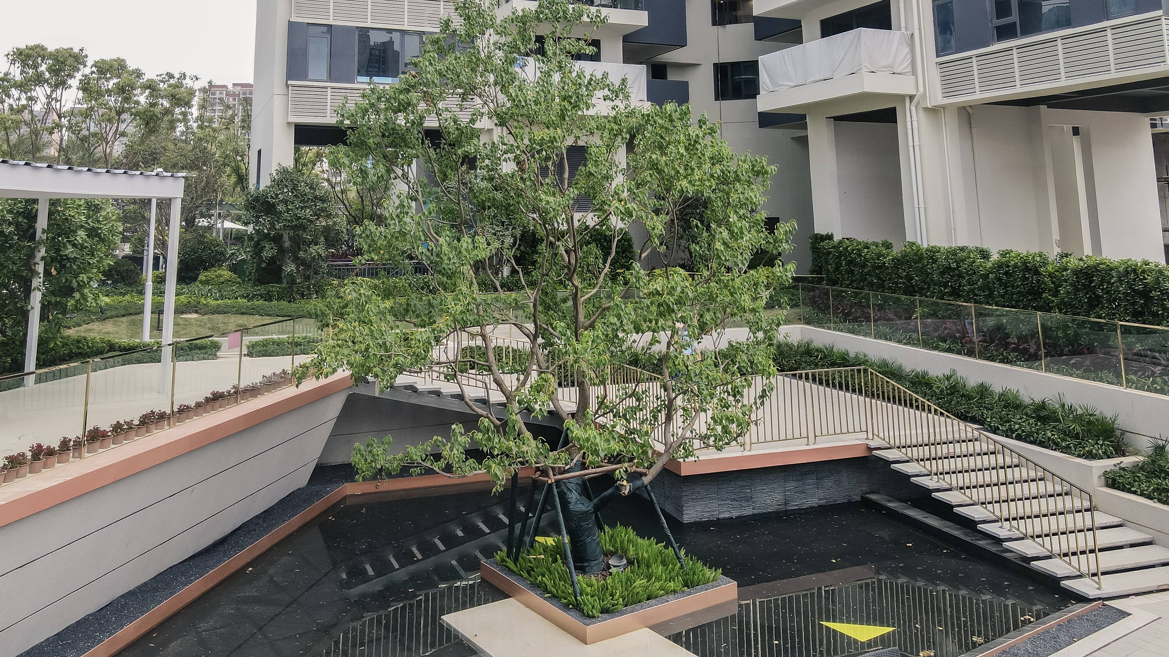 碧桂园盛世名门