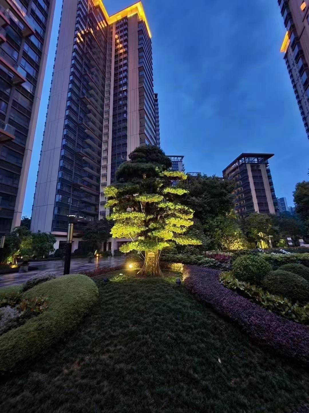 名巨伴山