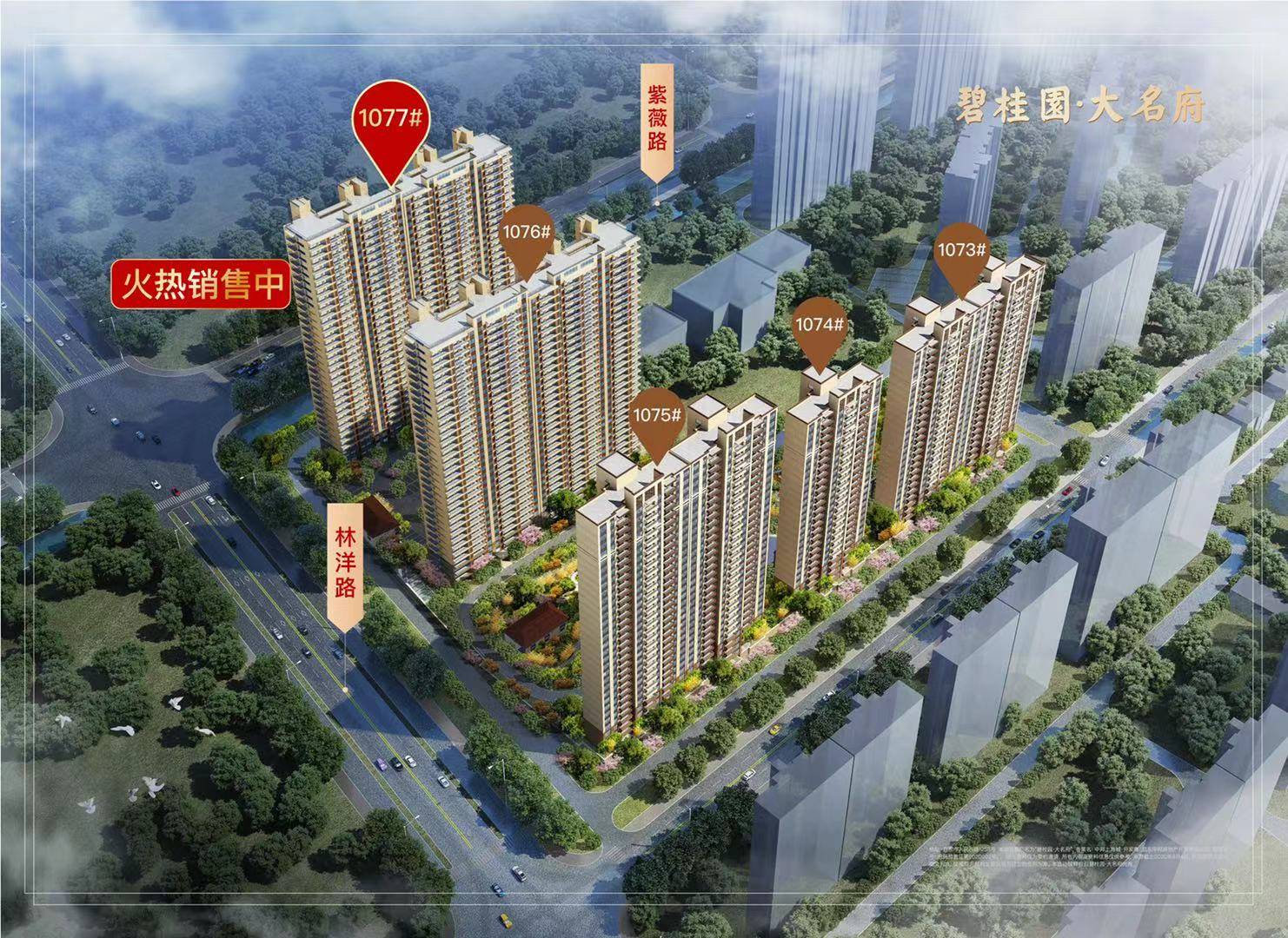 碧桂园大名府