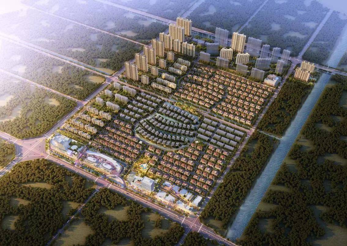 碧桂园大名府