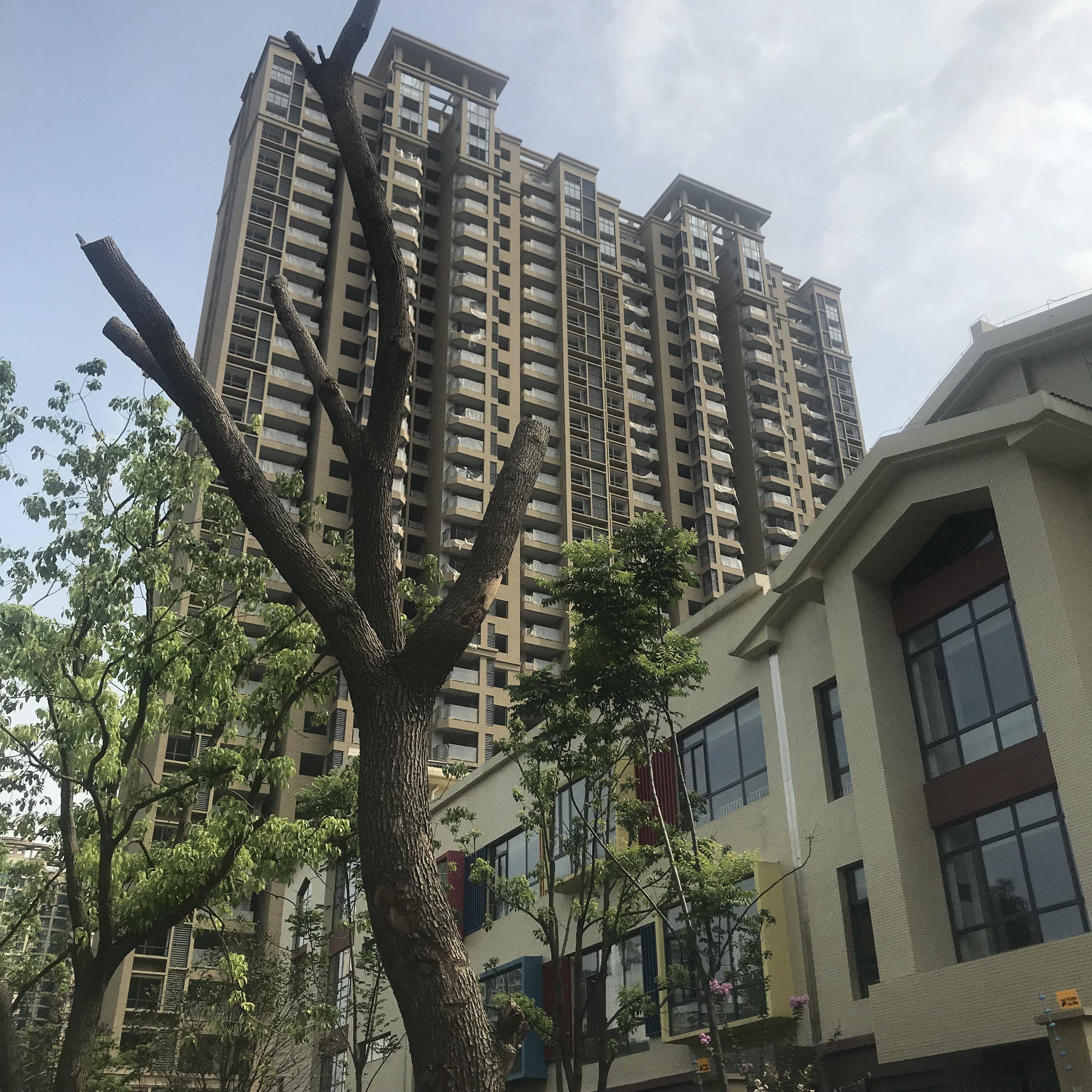 观山名筑南区