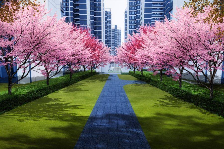 万和竞界