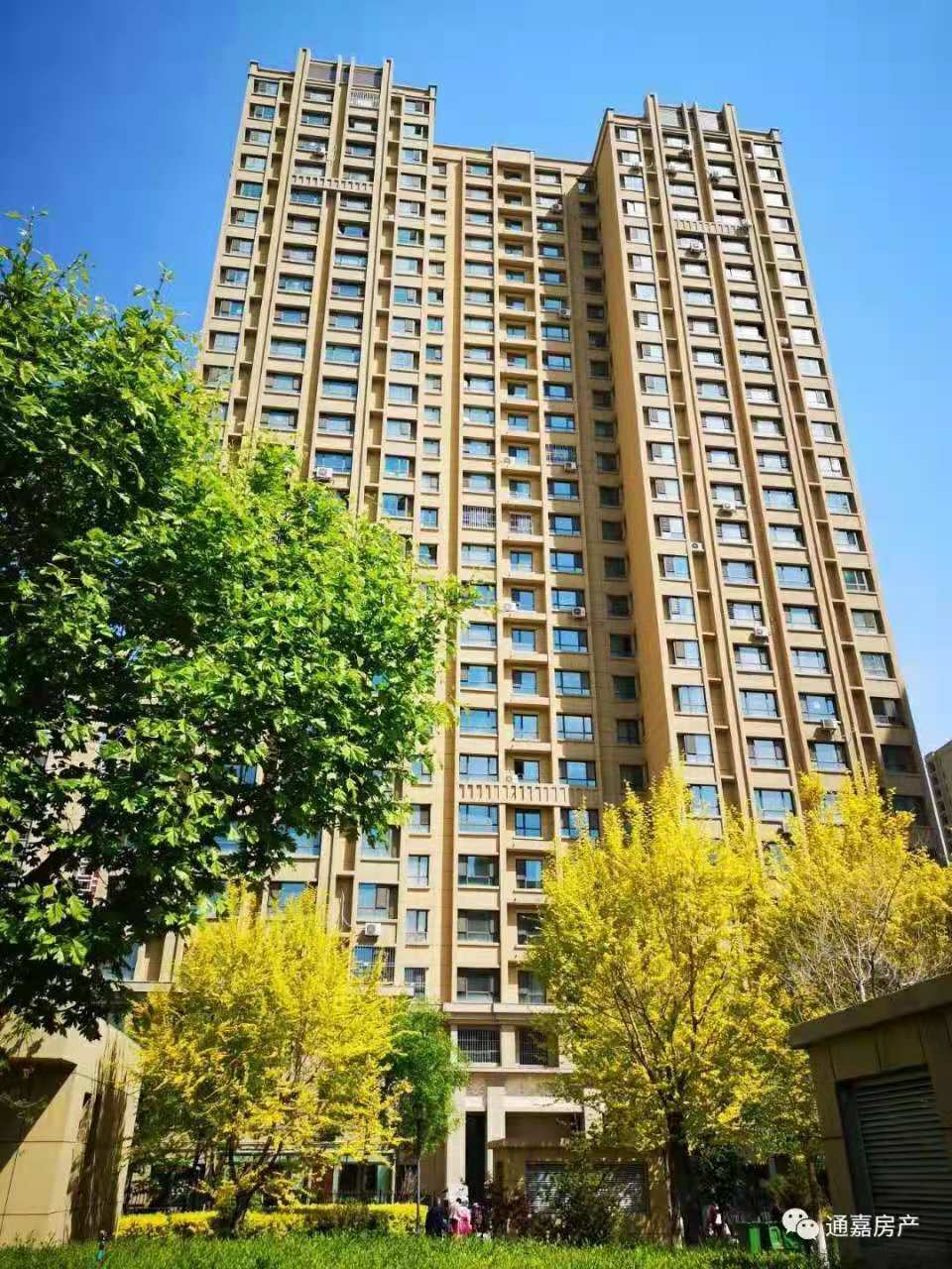 通嘉国际港