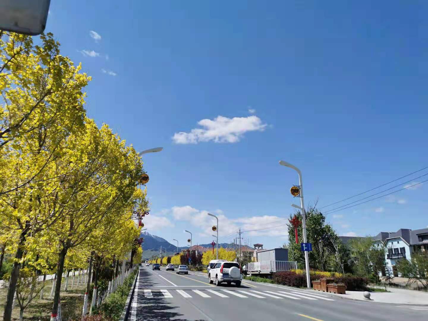 假日南山