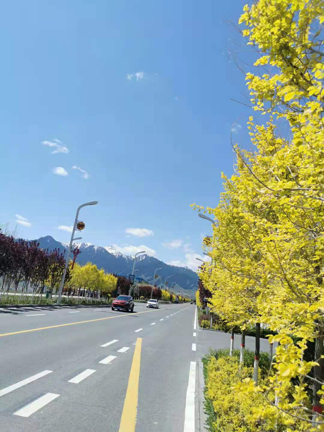 假日南山
