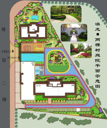 澳龙两棵树
