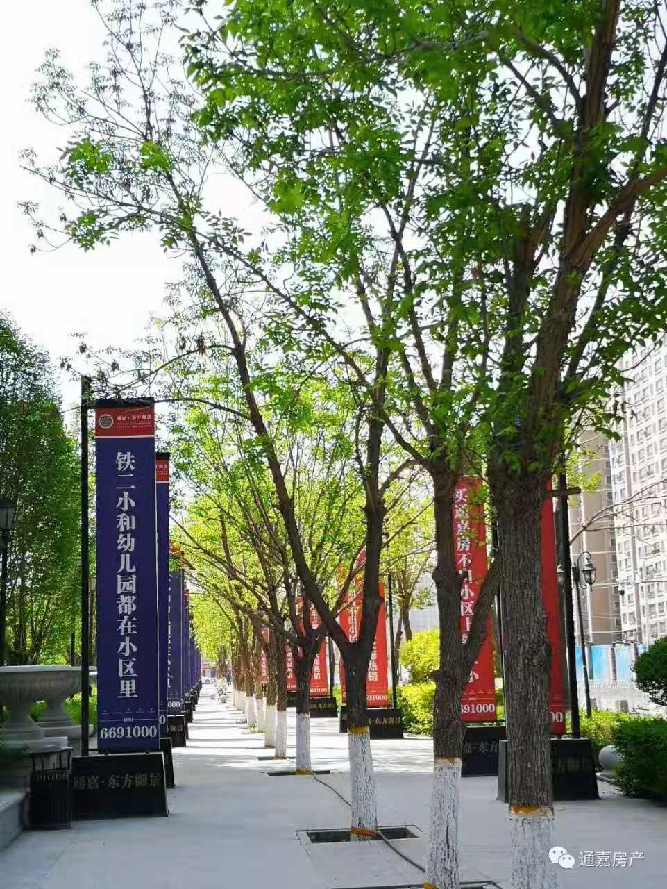 通嘉国际港