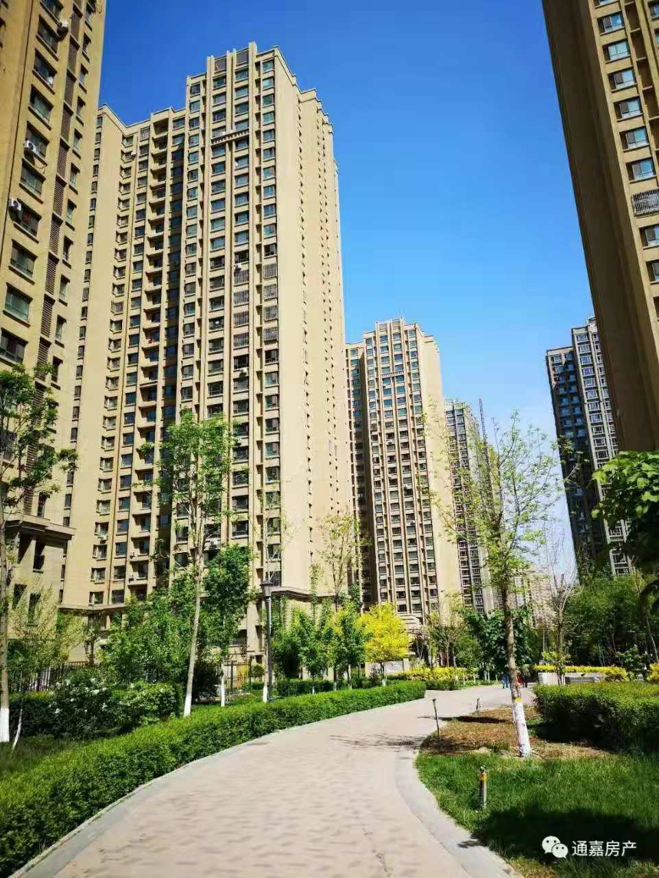 通嘉国际港