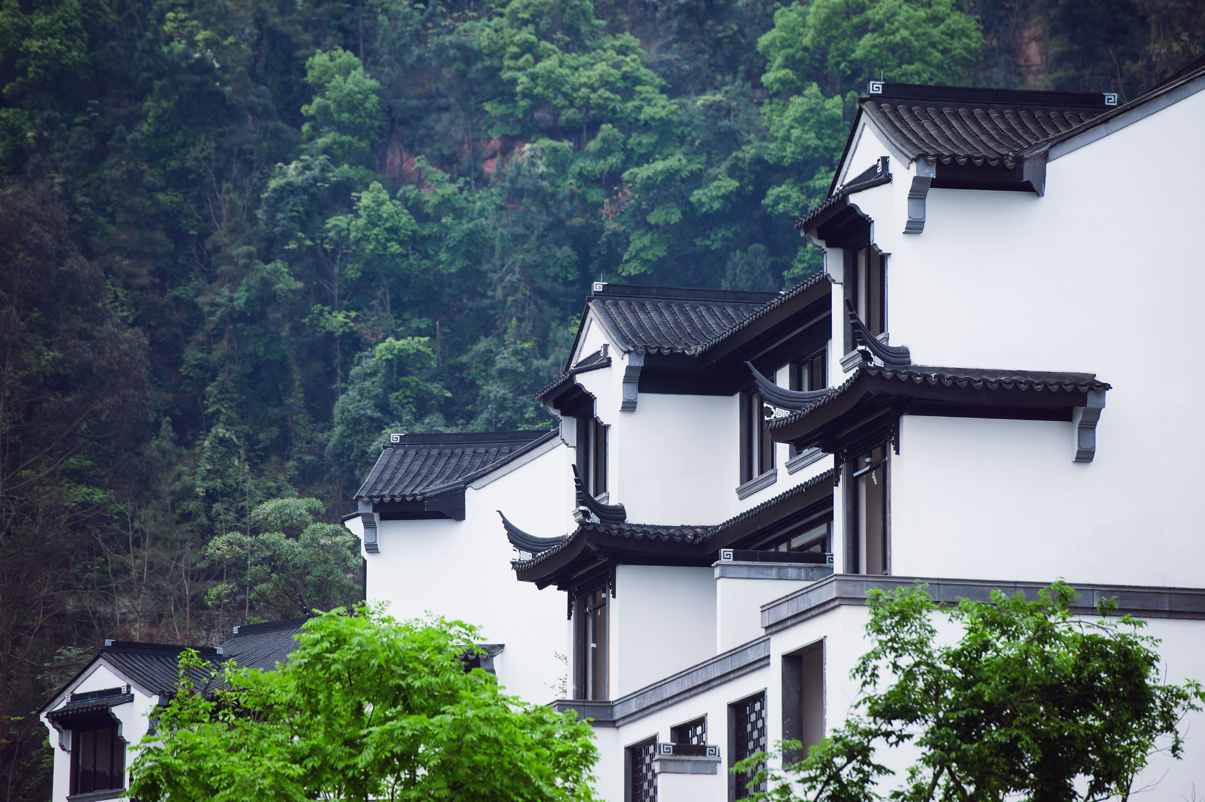 丽雅桃源谷