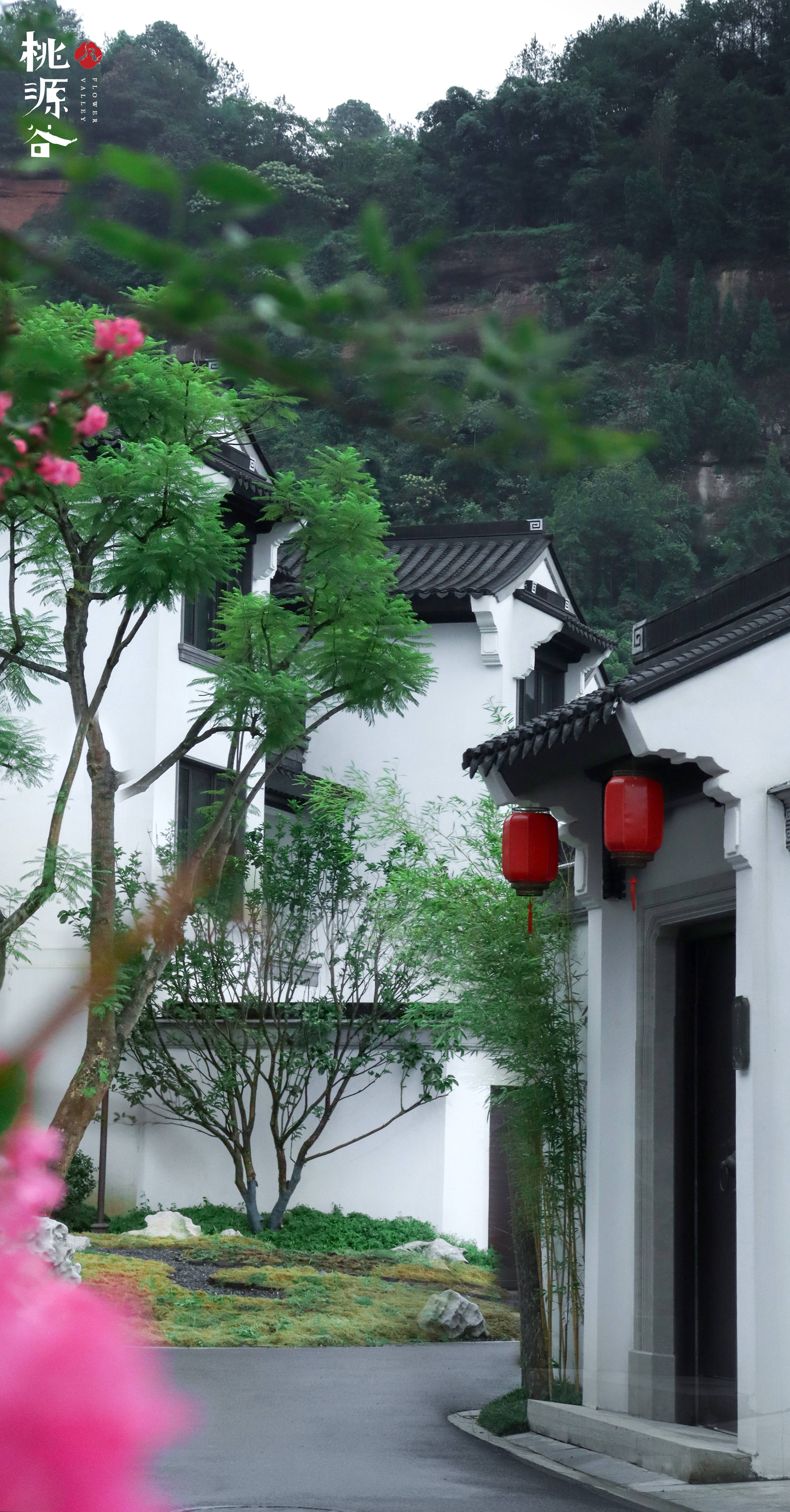 丽雅桃源谷