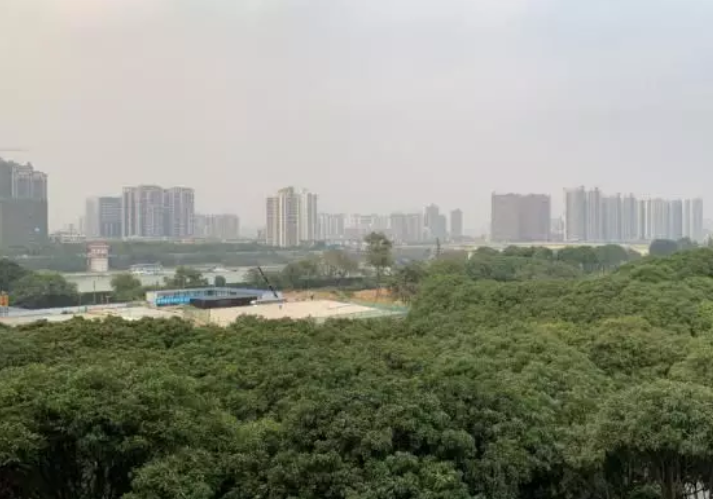 华润置地西园悦府