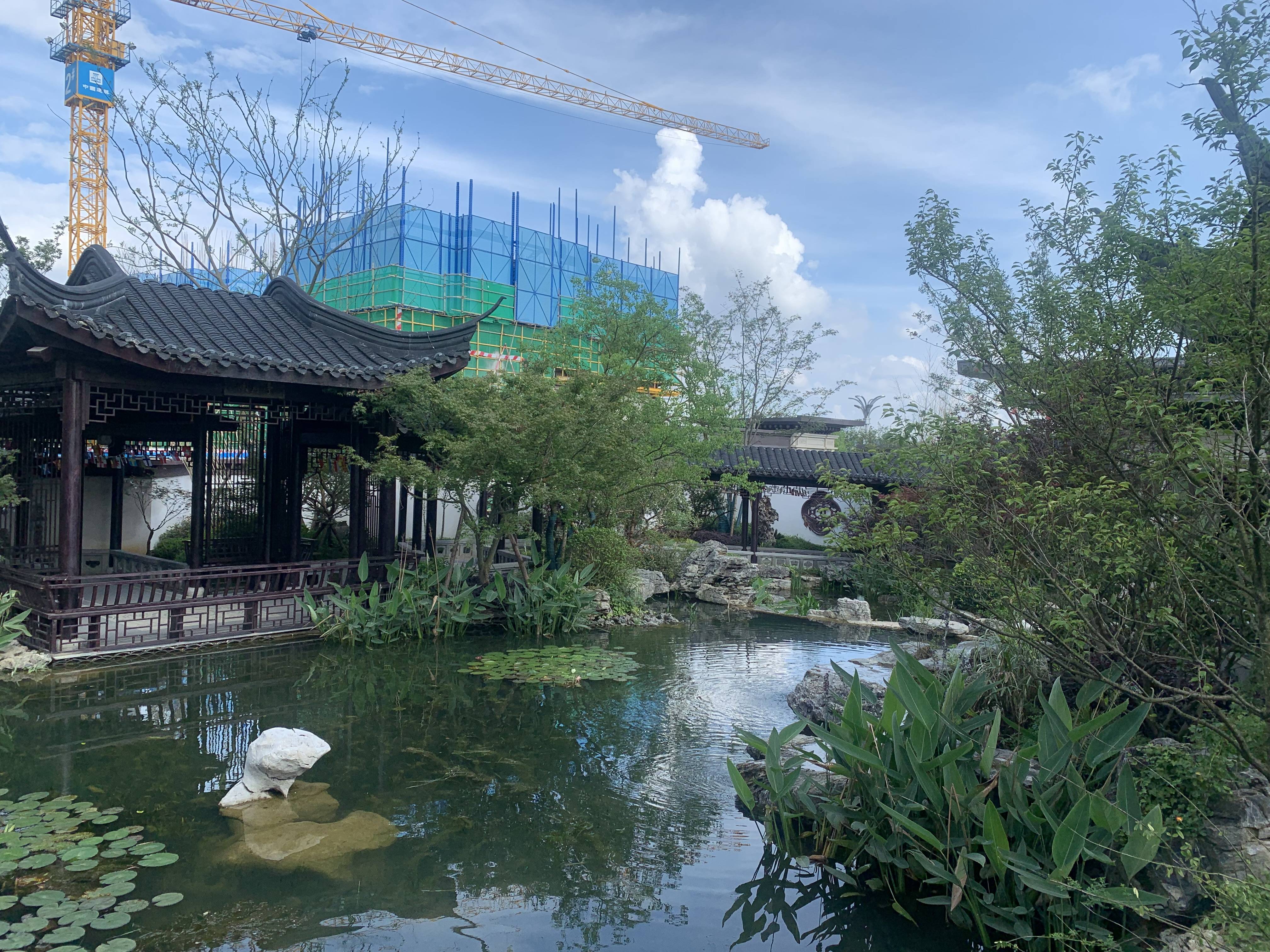 建发央著