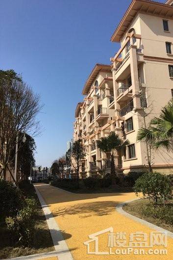 水西半岛