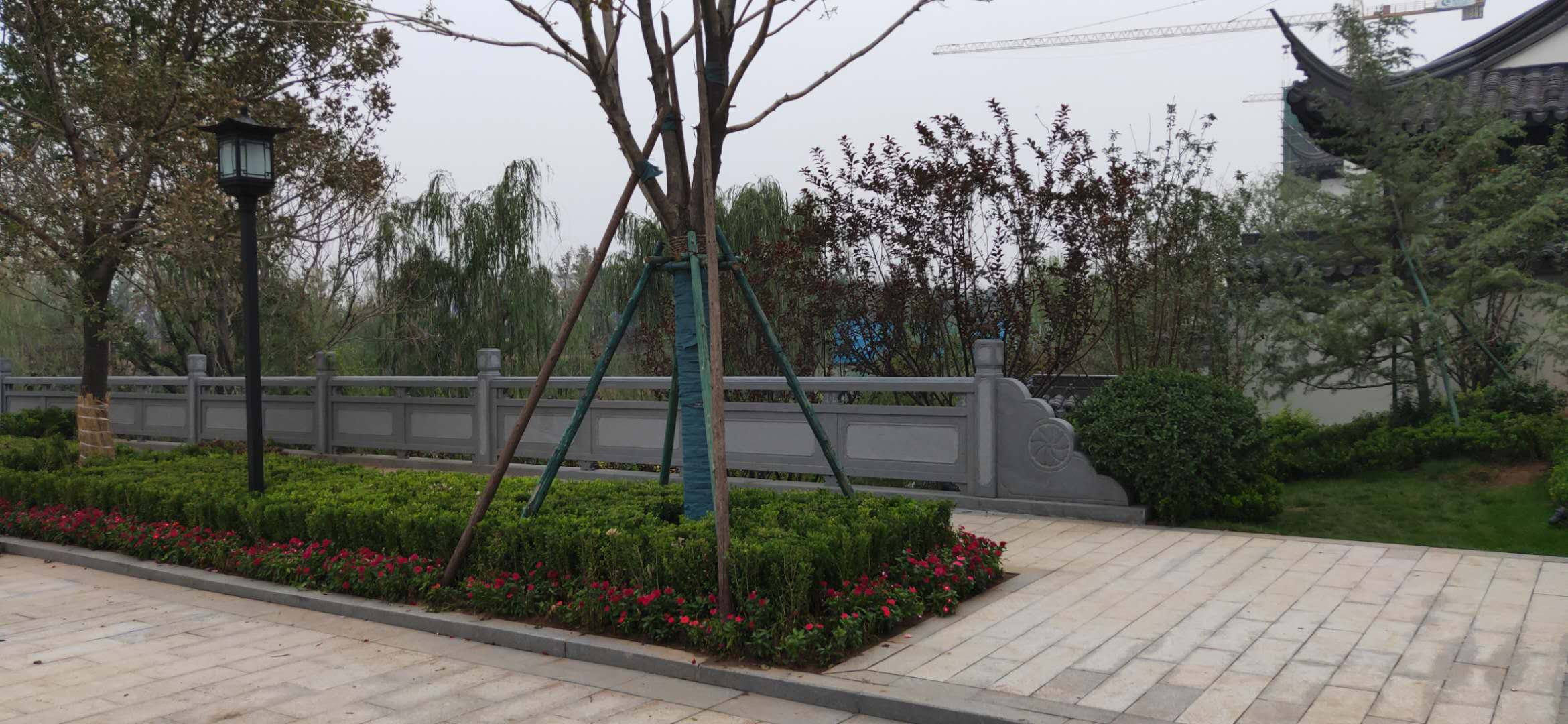 绿城桃李春风