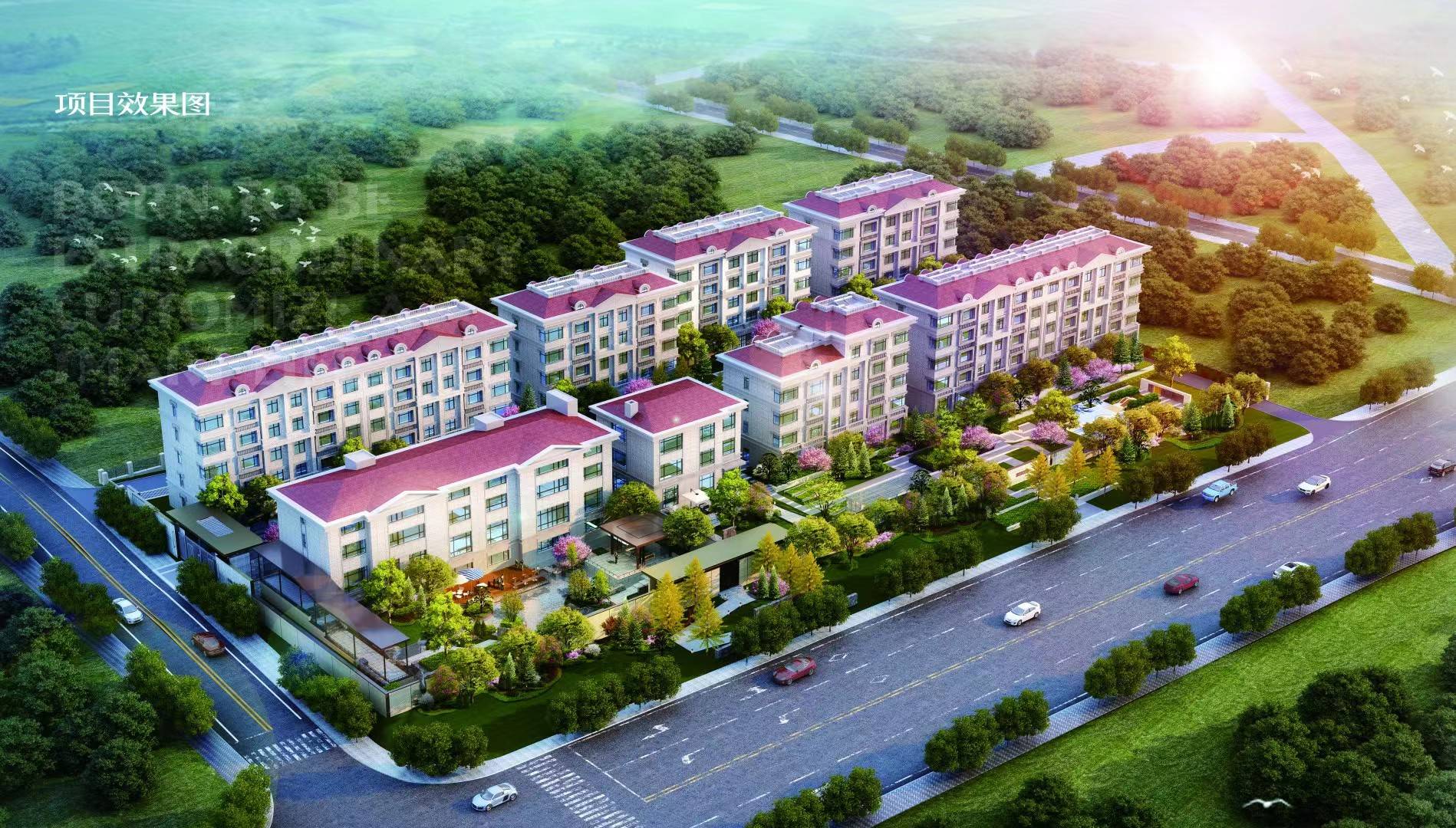 堂乾乐