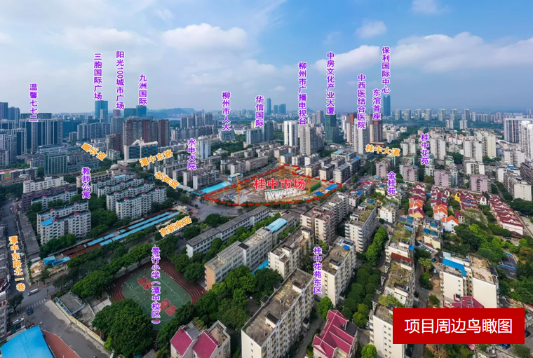 农投桂中金域印象