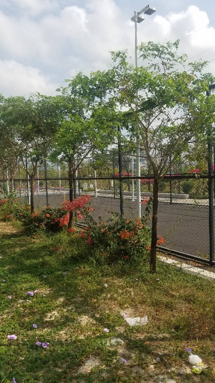 紫云阁