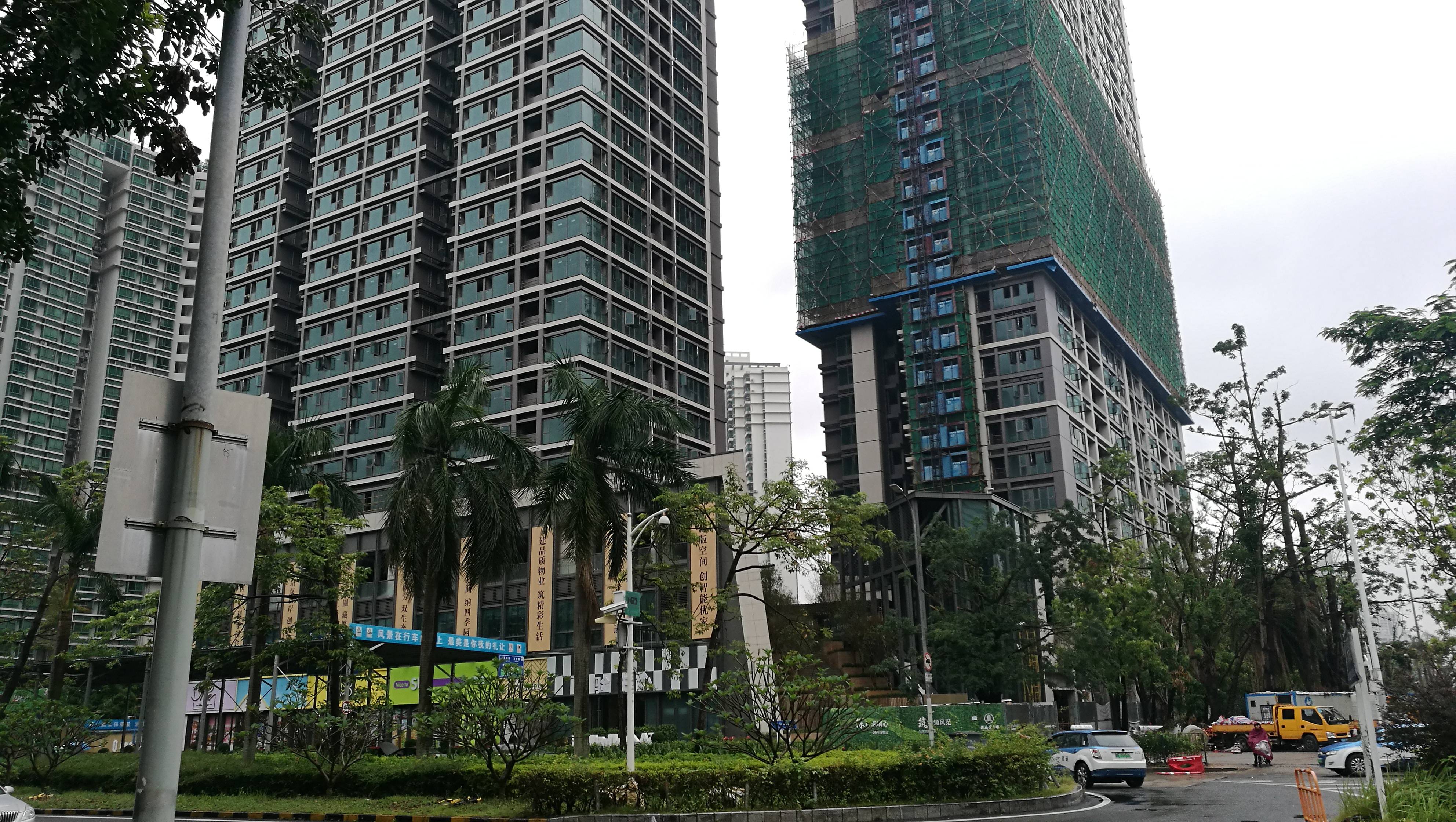 深物业金领