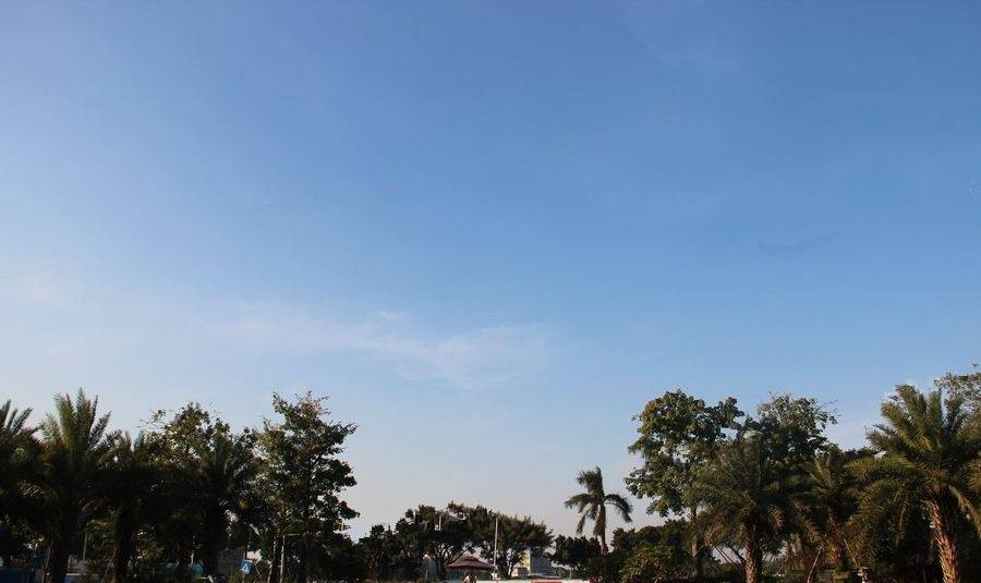 利丰中央公园