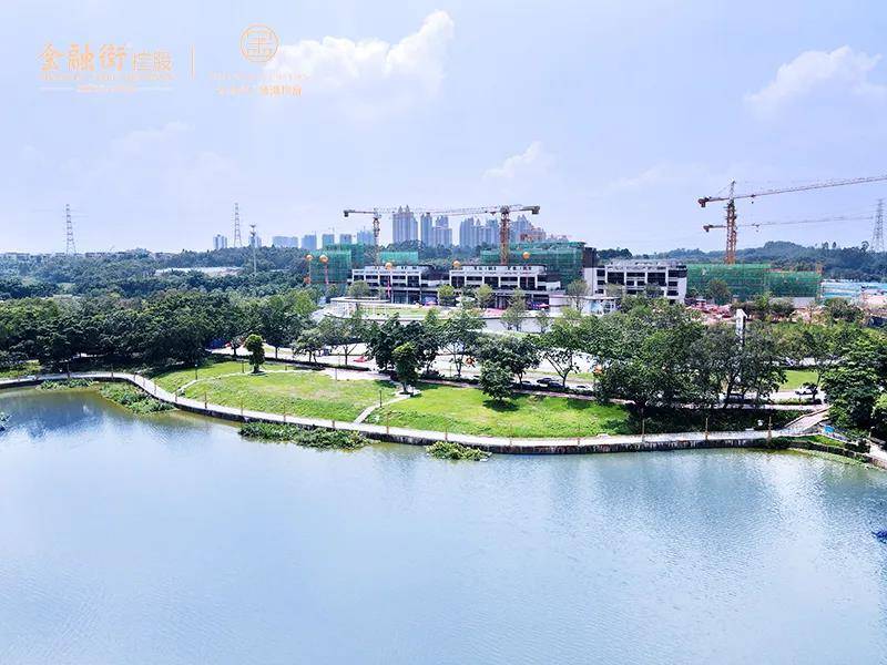 金融街仙湖悦府