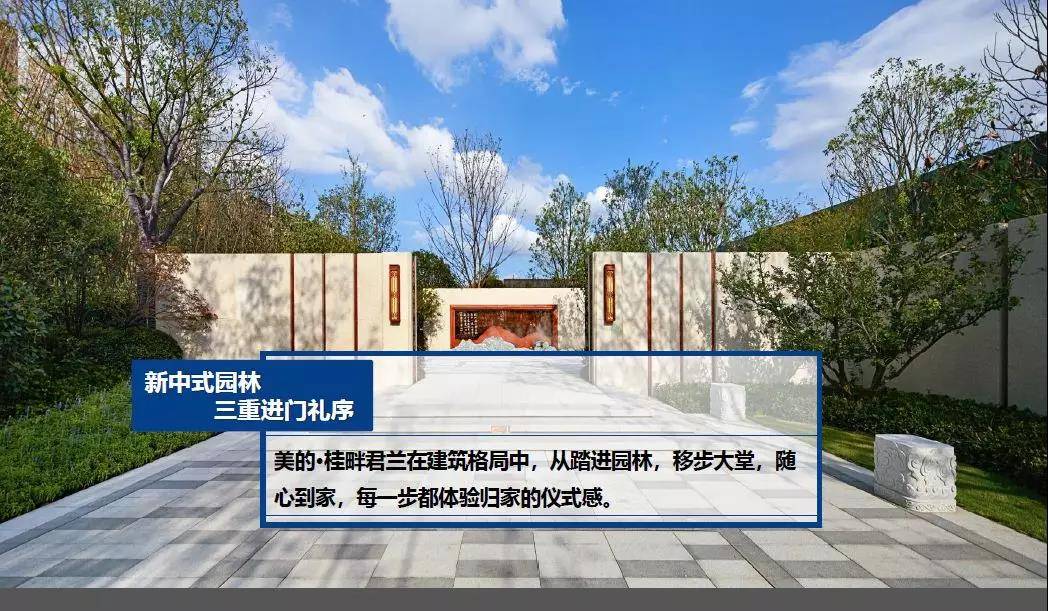 美的桂畔君兰