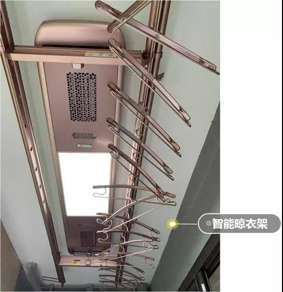 美的桂畔君兰