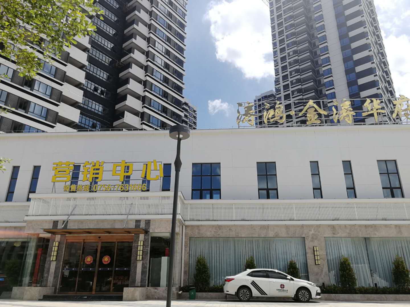 金涛华府
