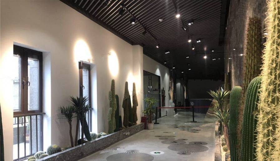 坪山国际影视文化城