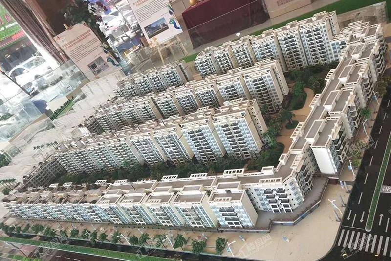 金澳华庭