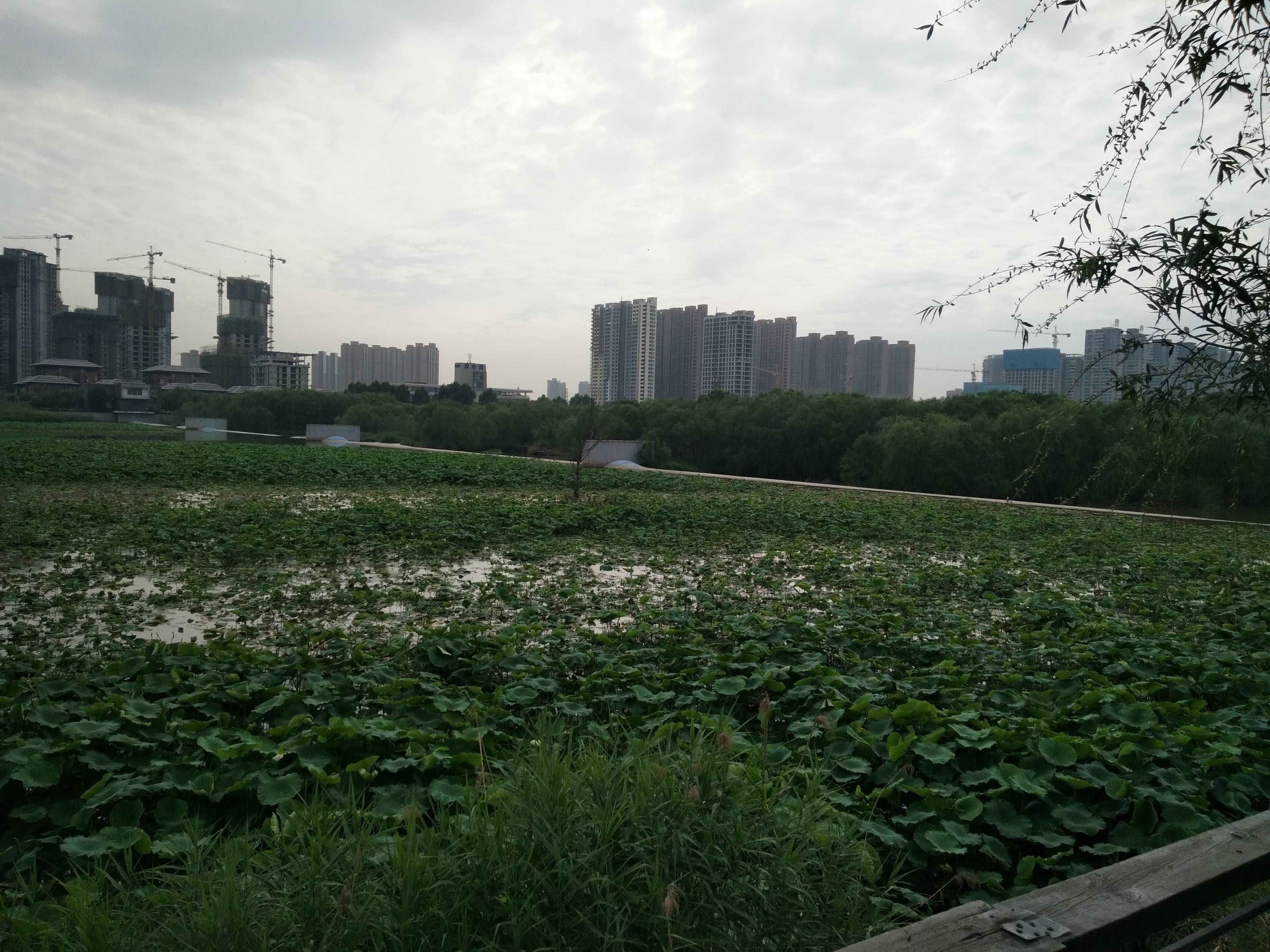 万象湾