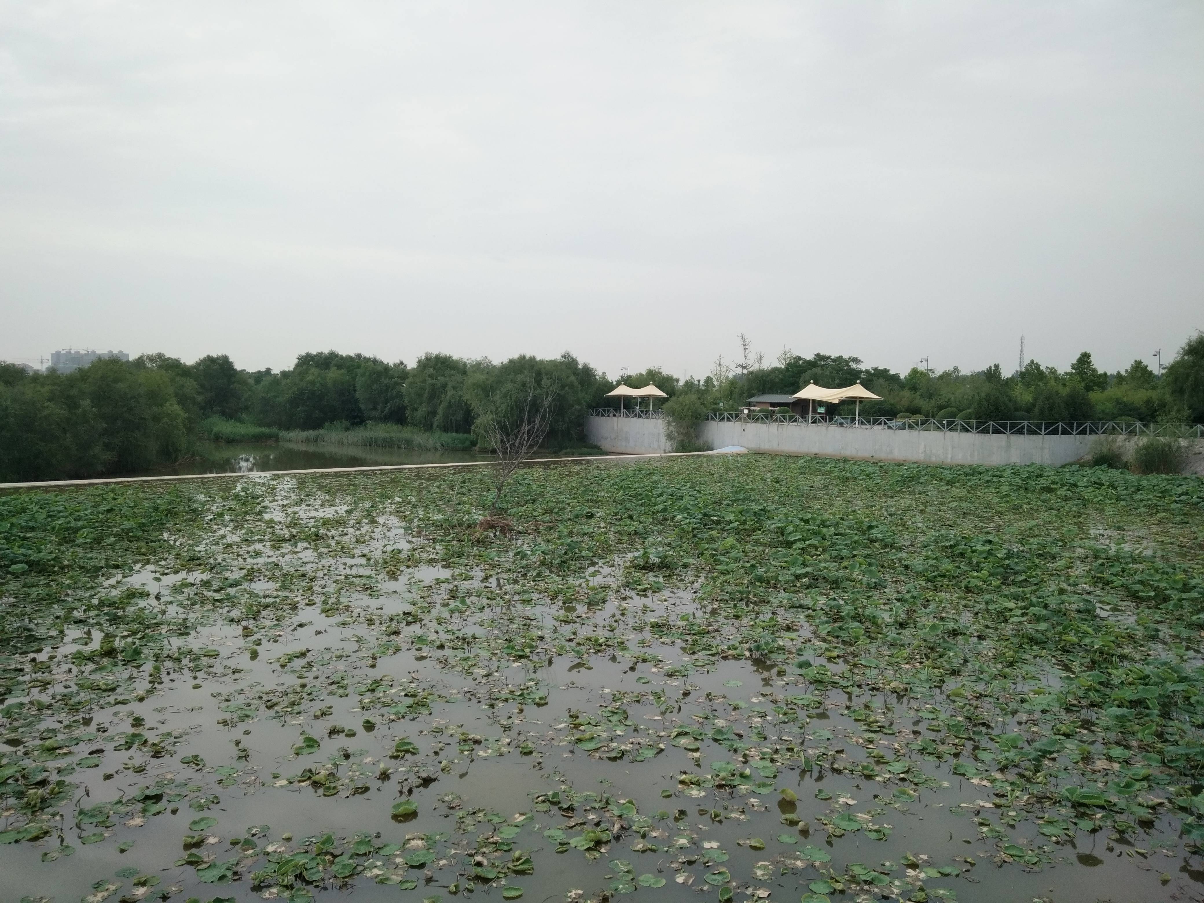 万象湾
