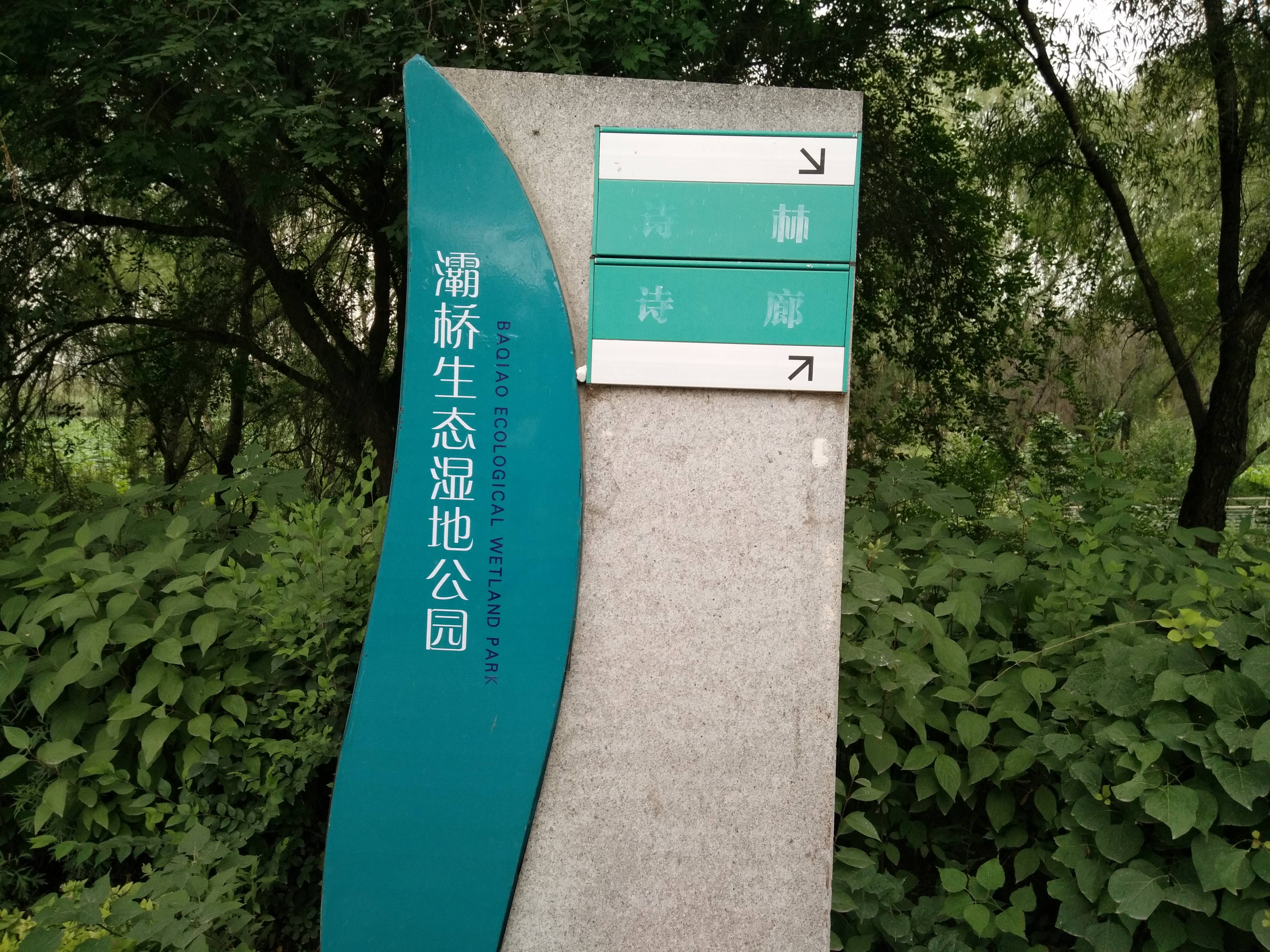 清凉灞柳