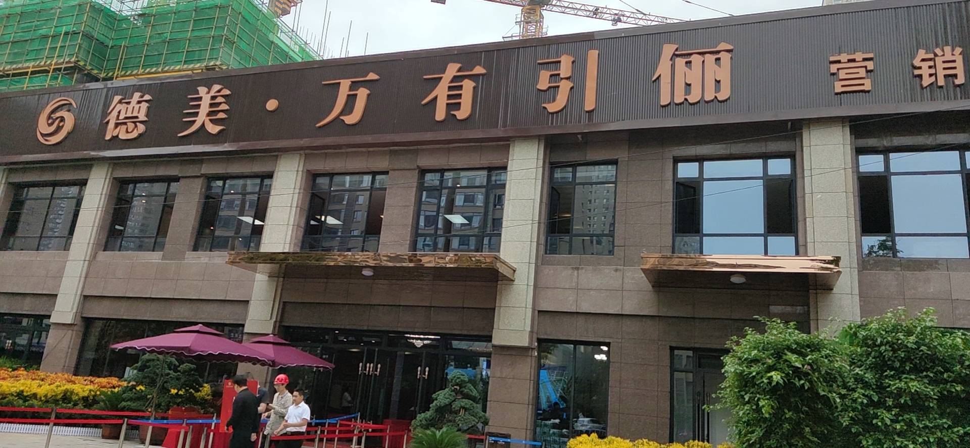德美万有引俪