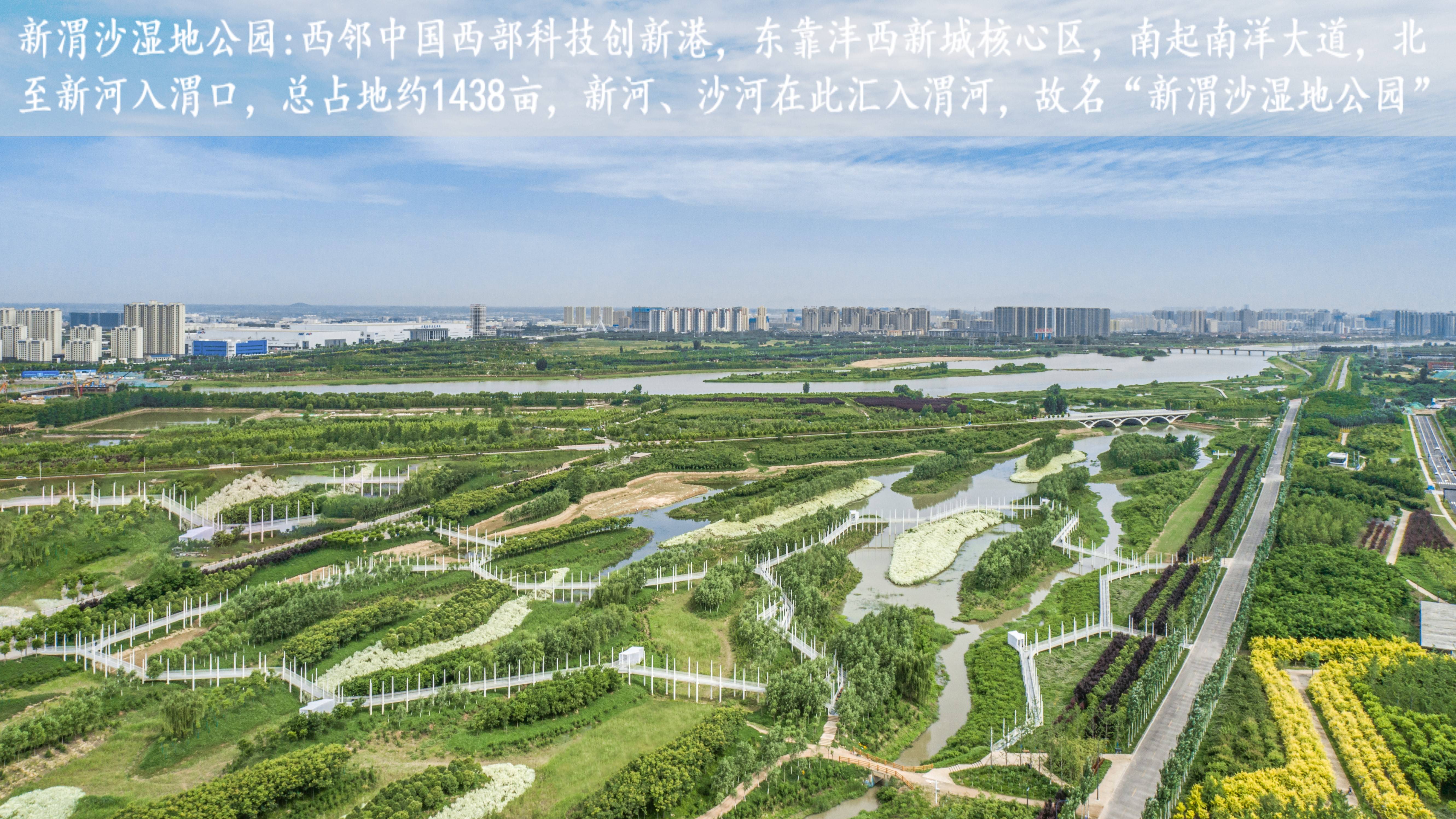 万科沣华锦鸣