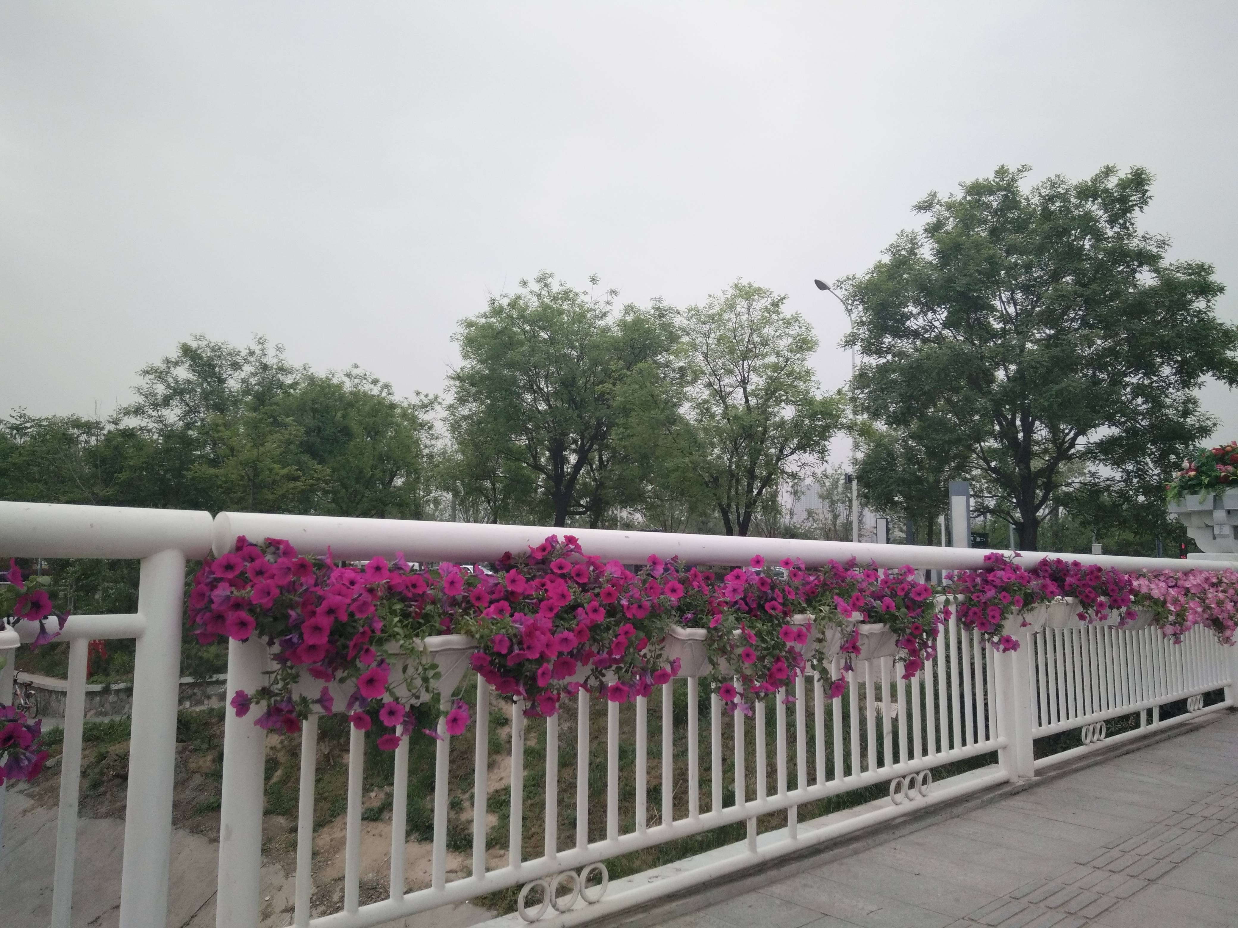 源邸壹号
