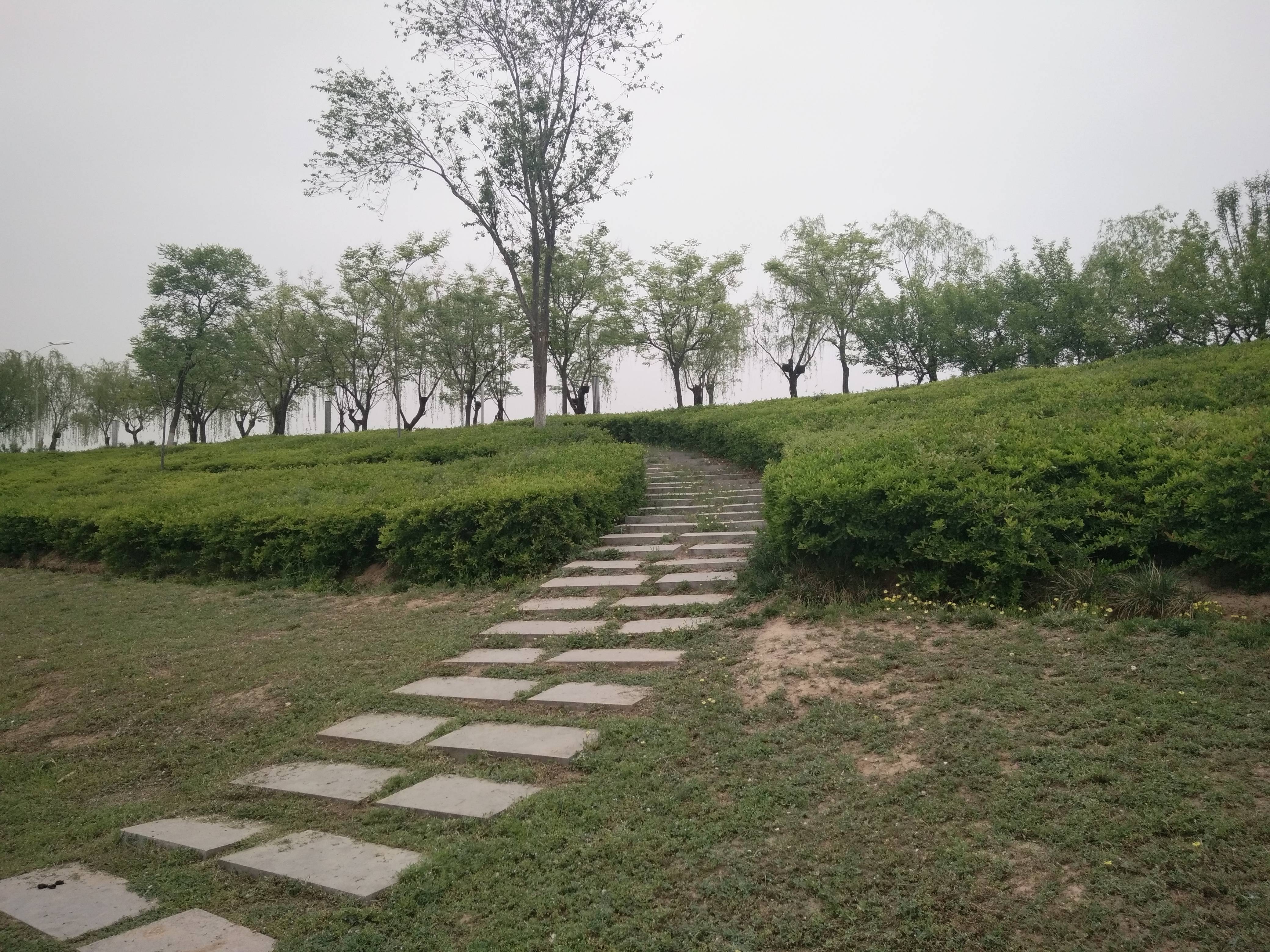 绿城桂语蘭庭