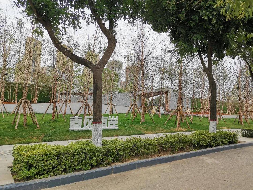 中南春风南岸