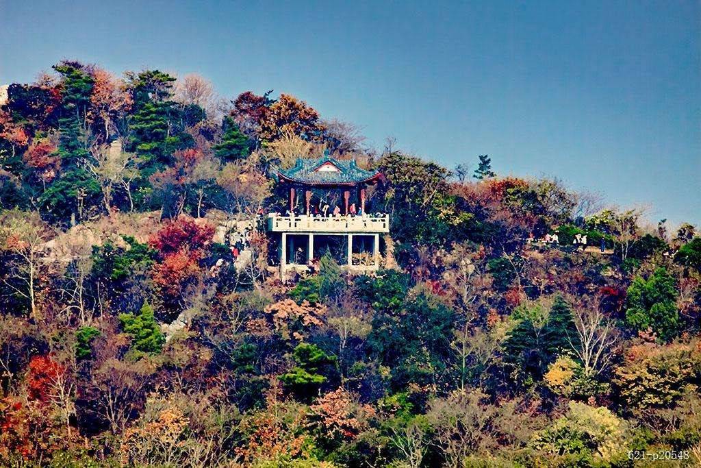 栖霞建设六合G79地块