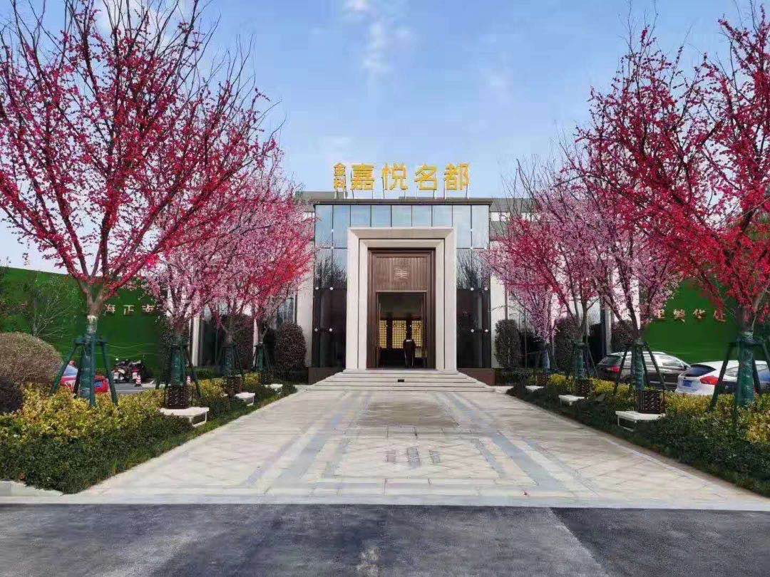 金科嘉悦名都