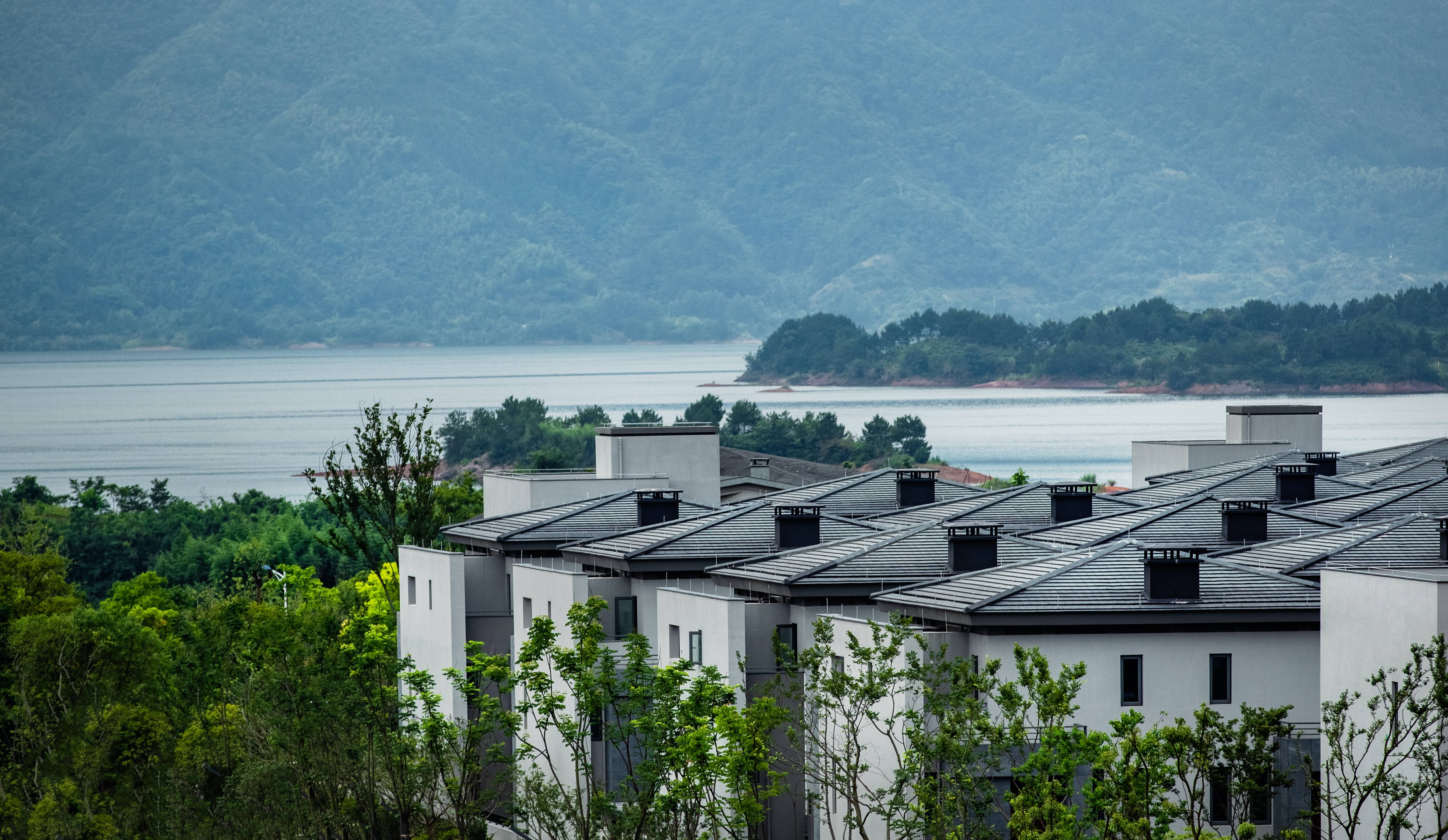 浅山