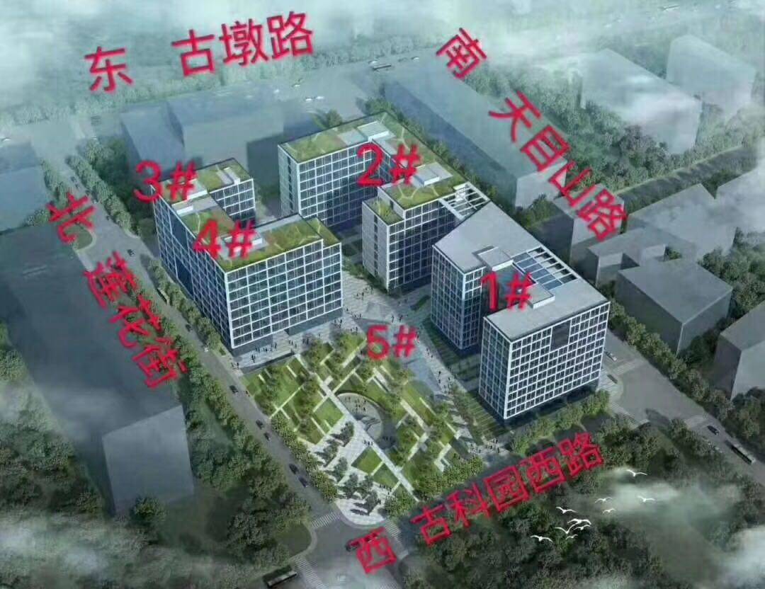 紫荆辰光