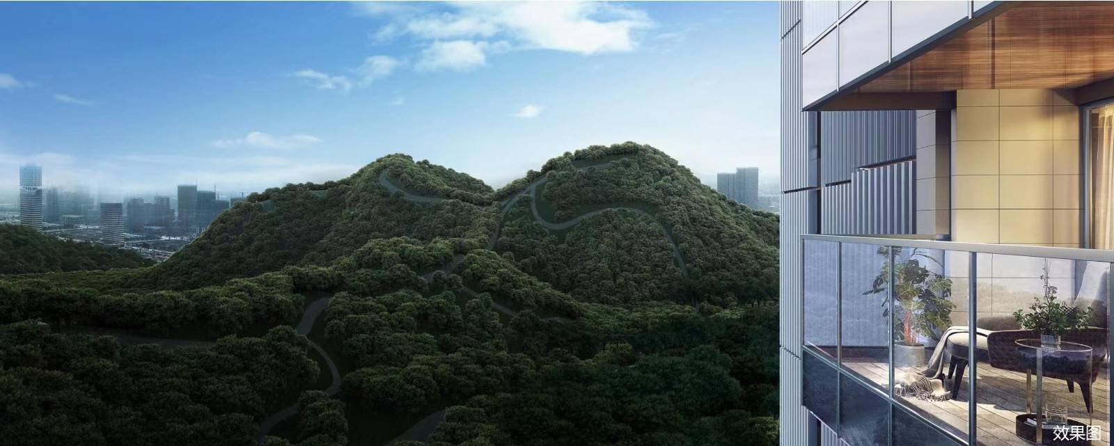 独树阳光里