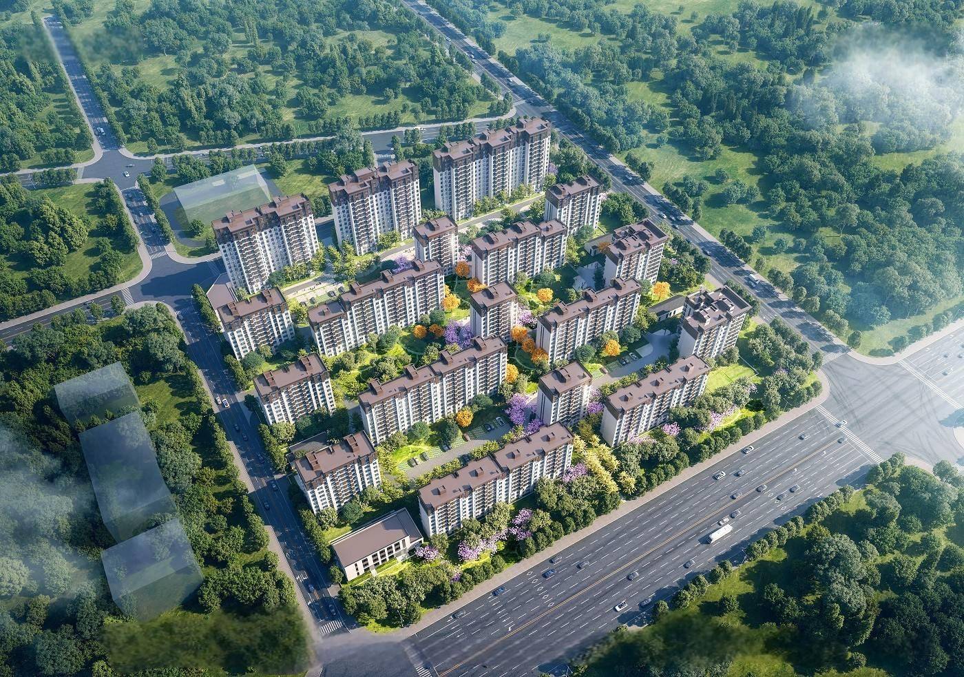 梧桐山语