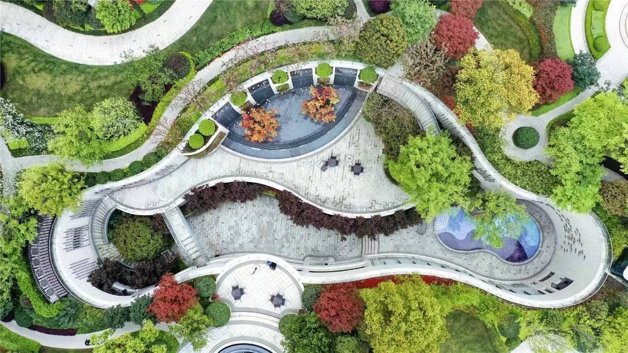 新湖青蓝国际