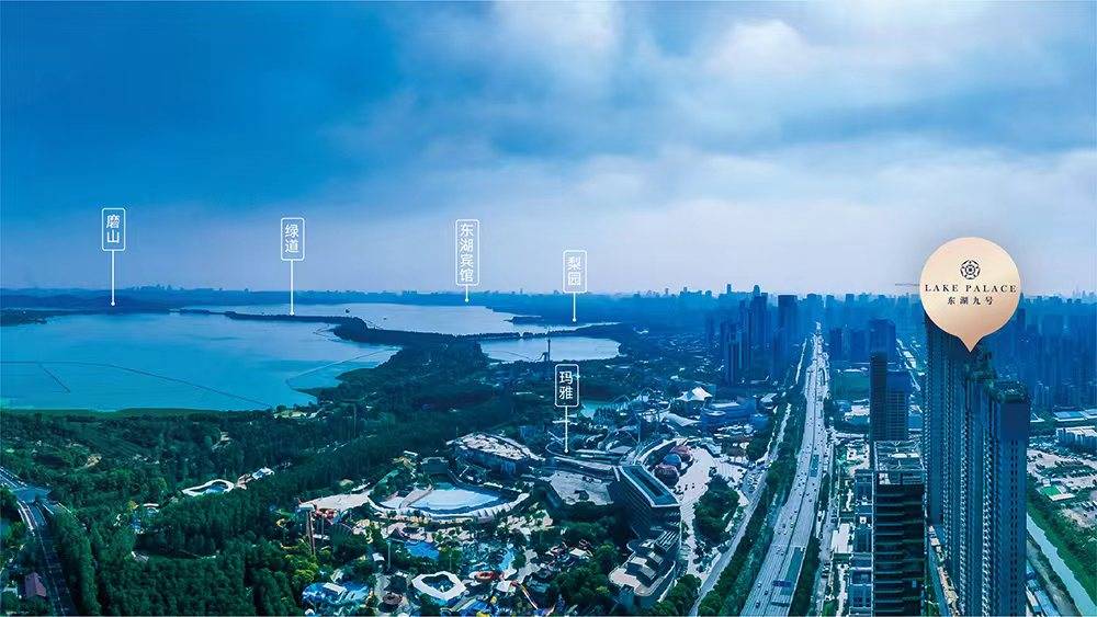 东湖九号
