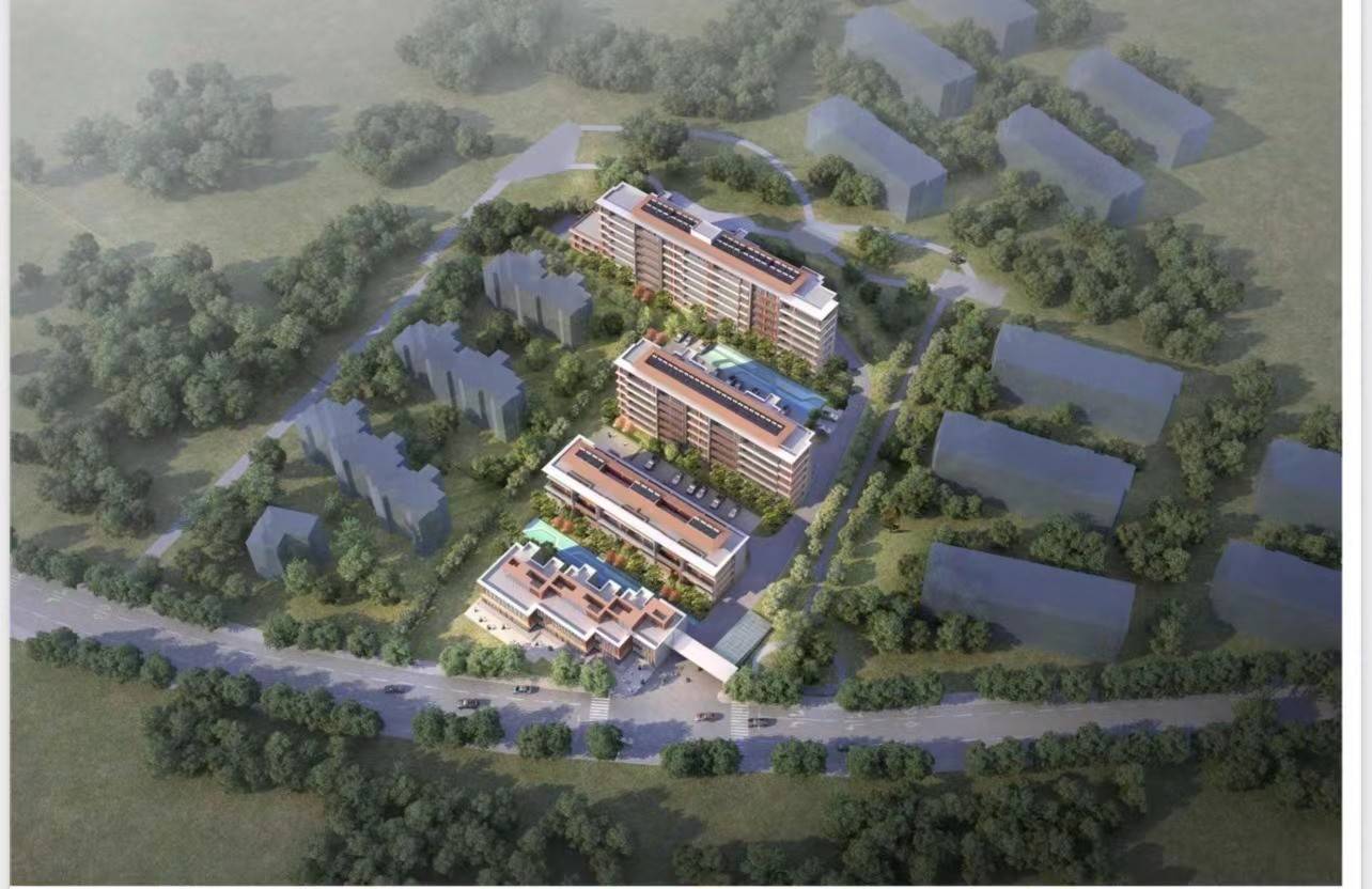 建大悦海