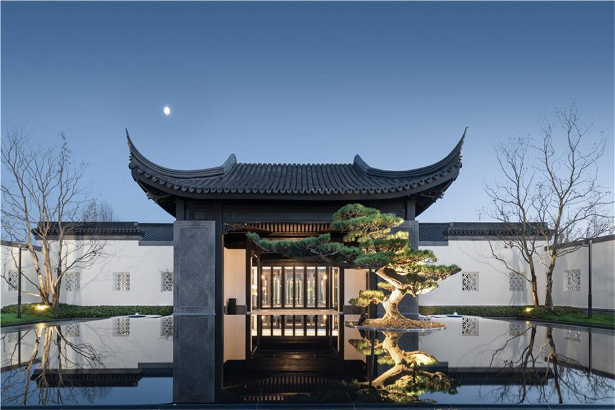 青岛桃李春风