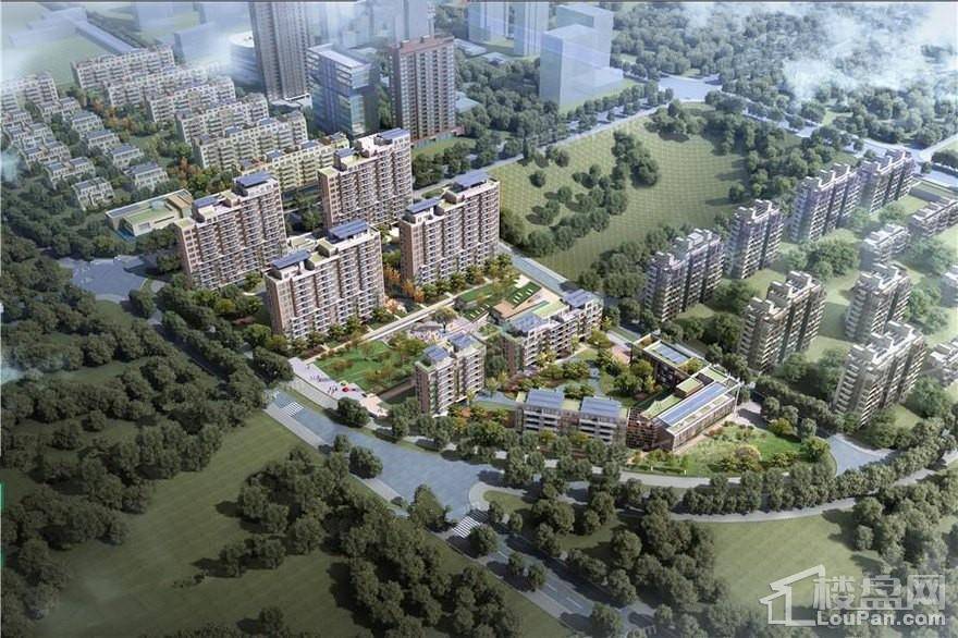 弗莱德建公元